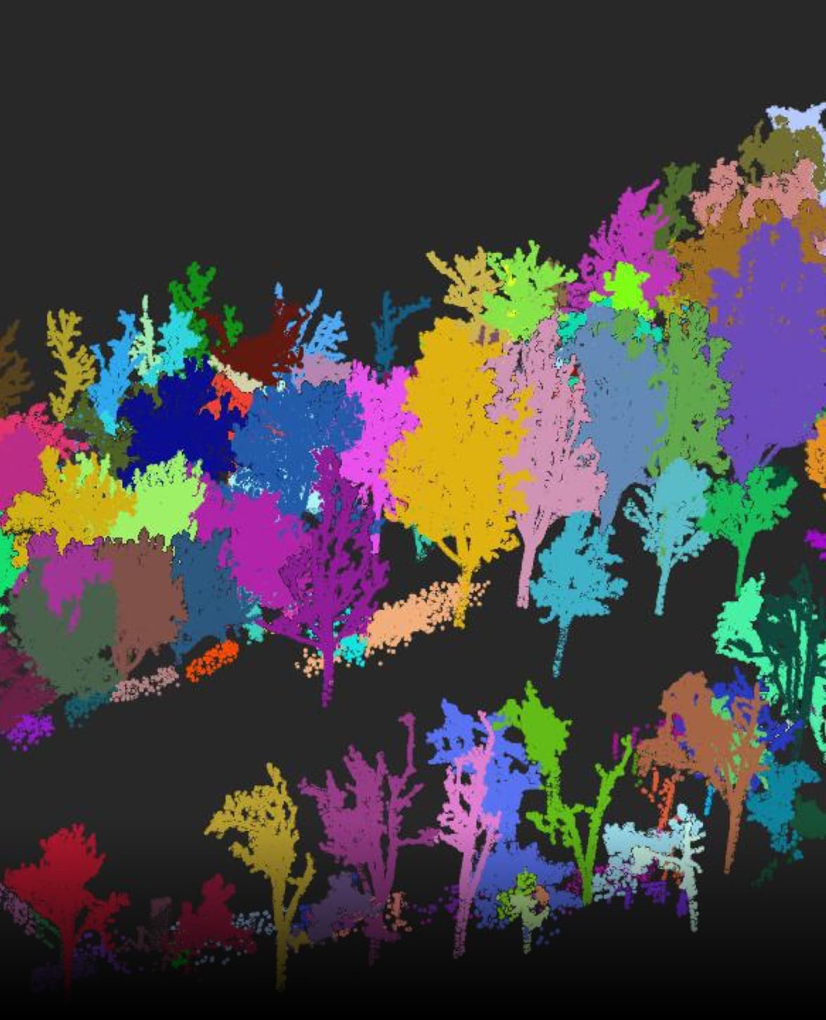 Trion S1 3D LiDAR Scanner applied in Forestry Surveying